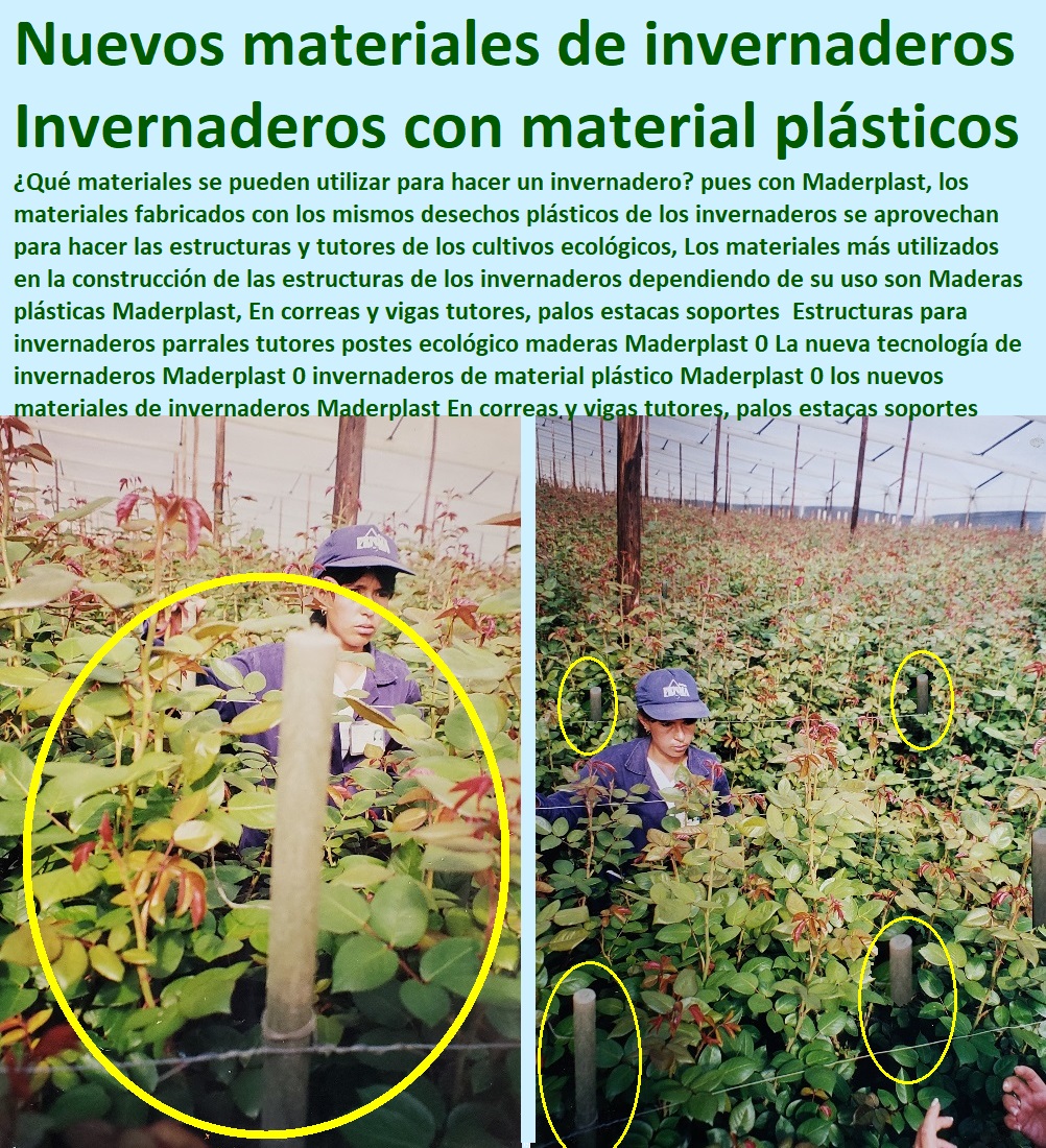 Estructuras para invernaderos parrales tutores postes ecológico maderas Maderplast 0 La nueva tecnología de invernaderos Maderplast 0 invernaderos de material plástico Maderplast 0 los nuevos materiales de invernaderos Maderplast Estructuras para invernaderos parrales tutores postes ecológico maderas Maderplast 0 La nueva tecnología de invernaderos CULTIVOS TECNIFICADOS, INVERNADEROS, Semilleros, Bancos De Siembra, Hidroponía, Agricultura, Cosecha, Poscosecha, Tutores para Flores cable vía Bananas Aromáticas, Maderplast 0 invernaderos de material plástico Maderplast 0 los nuevos materiales de invernaderos Maderplast